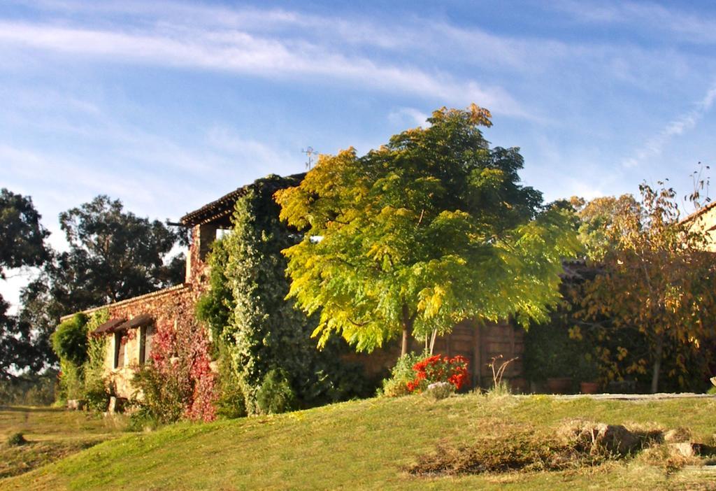 Casa Rural El Cabezo ซาน มาร์ติน เด เตรเวโฮ ภายนอก รูปภาพ