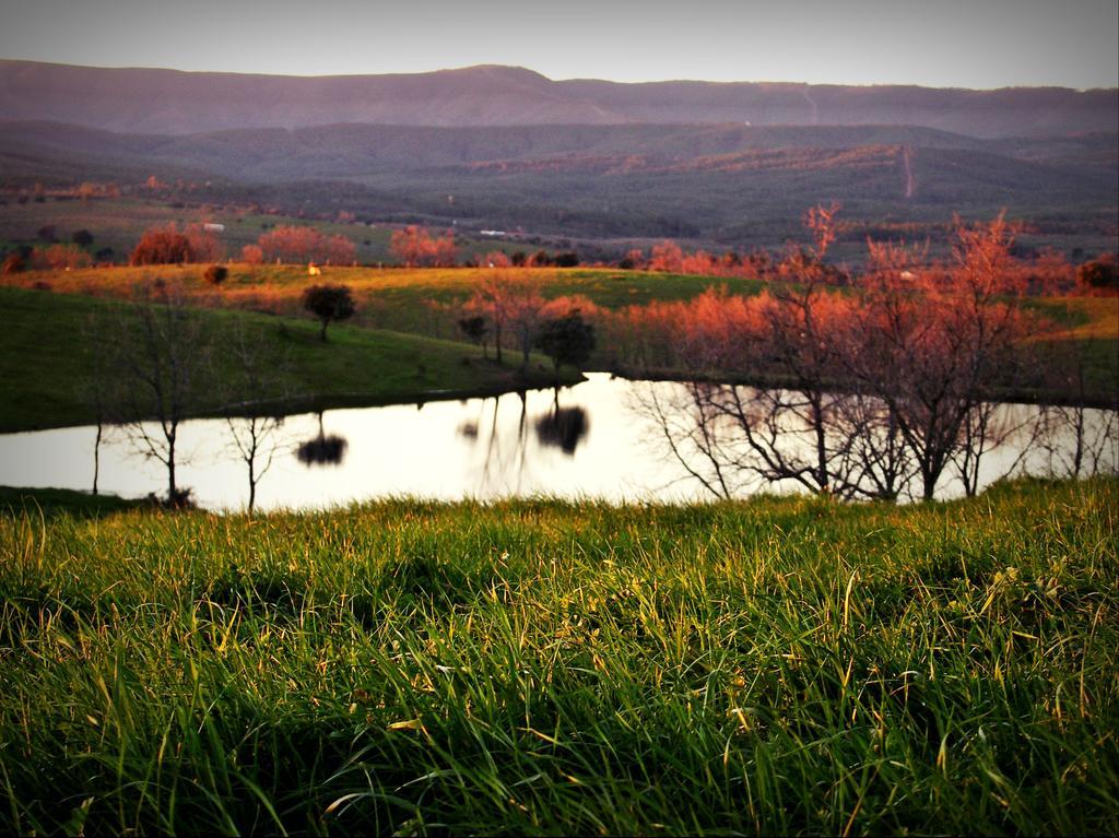 Casa Rural El Cabezo ซาน มาร์ติน เด เตรเวโฮ ภายนอก รูปภาพ