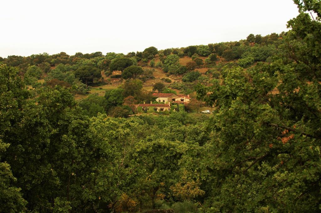Casa Rural El Cabezo ซาน มาร์ติน เด เตรเวโฮ ภายนอก รูปภาพ