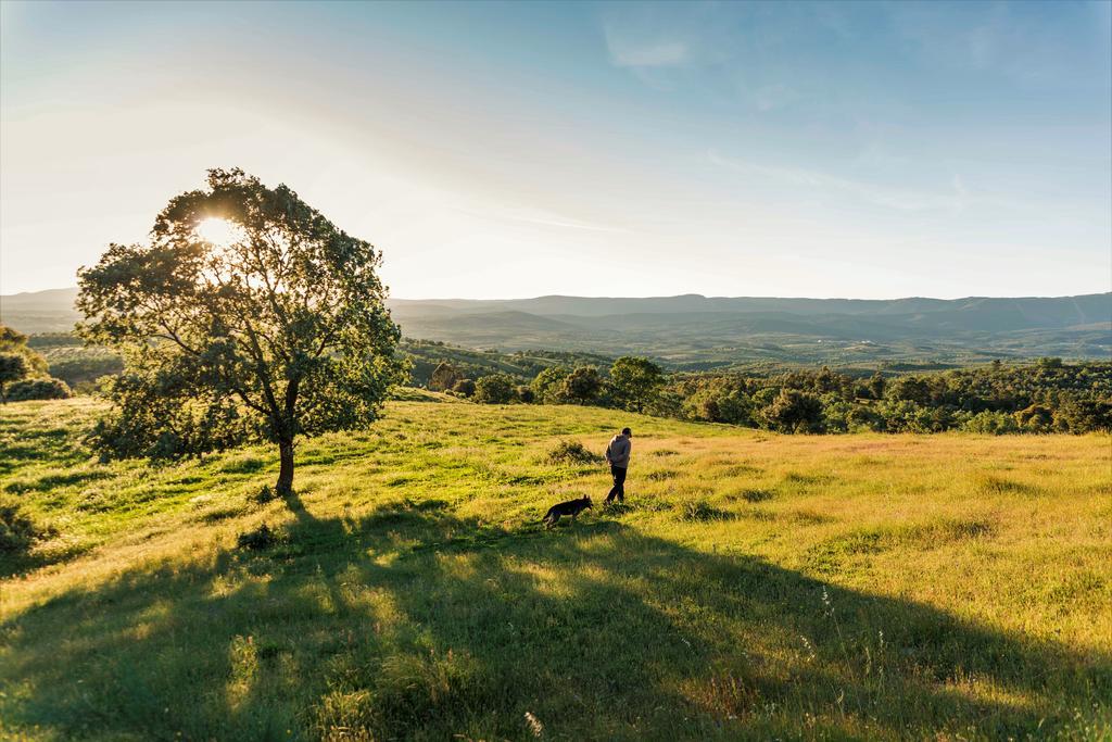 Casa Rural El Cabezo ซาน มาร์ติน เด เตรเวโฮ ภายนอก รูปภาพ