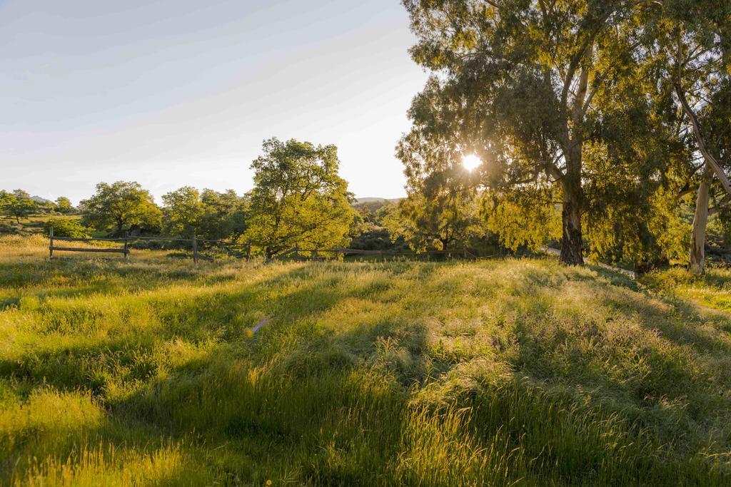 Casa Rural El Cabezo ซาน มาร์ติน เด เตรเวโฮ ภายนอก รูปภาพ